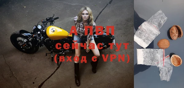 винт Осташков