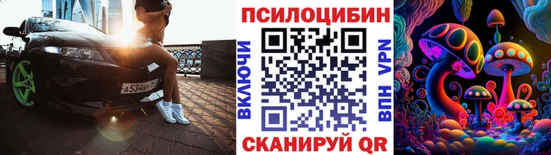 Галлюциногенные грибы Psilocybine cubensis  где купить наркотик  Терек 