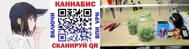 KRAKEN зеркало  Терек  Шишки марихуана Bruce Banner 